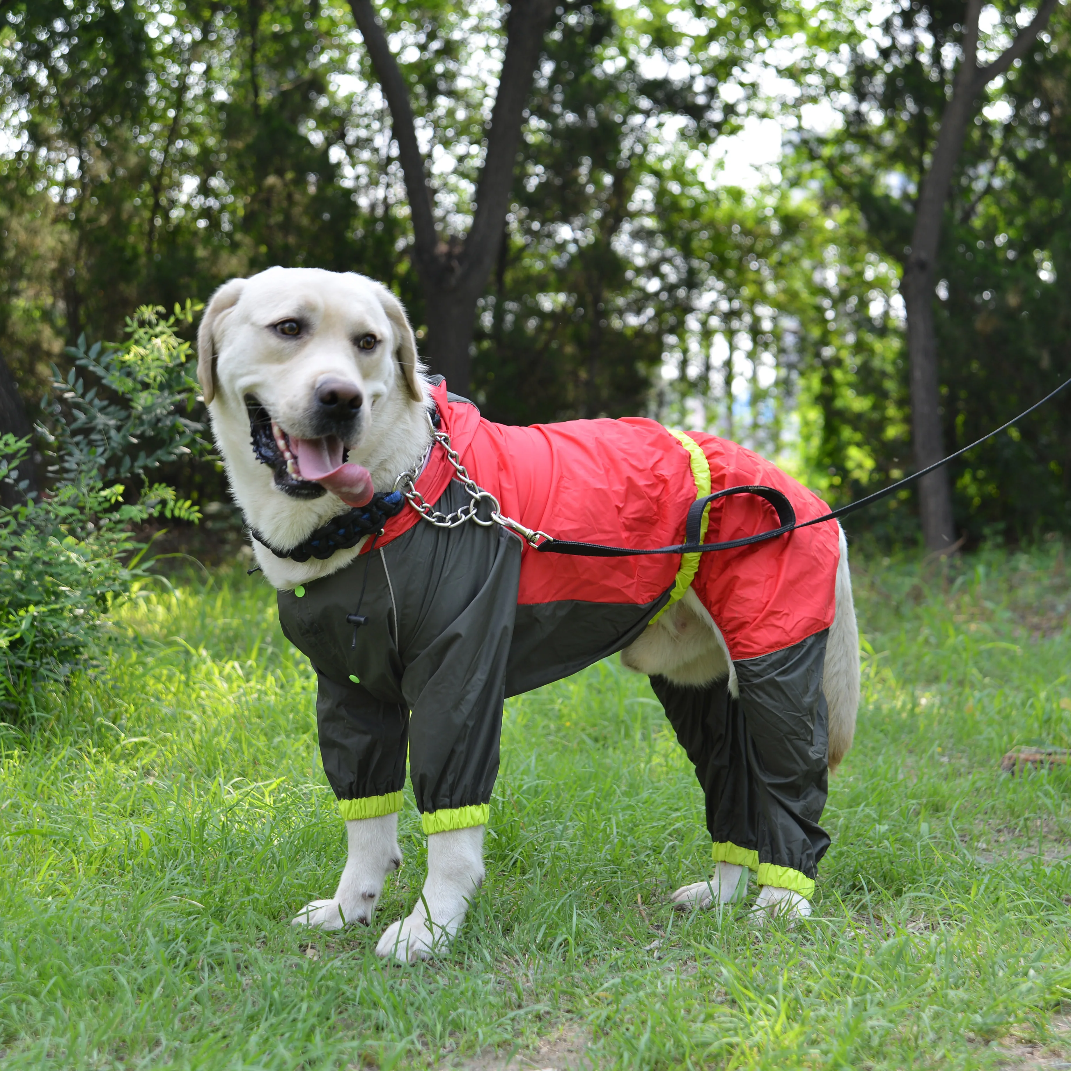 Lovoyager Summer Fluorescence Color Waterproof Fashion Dog Raincoat Pet Clothes dog Rain coat