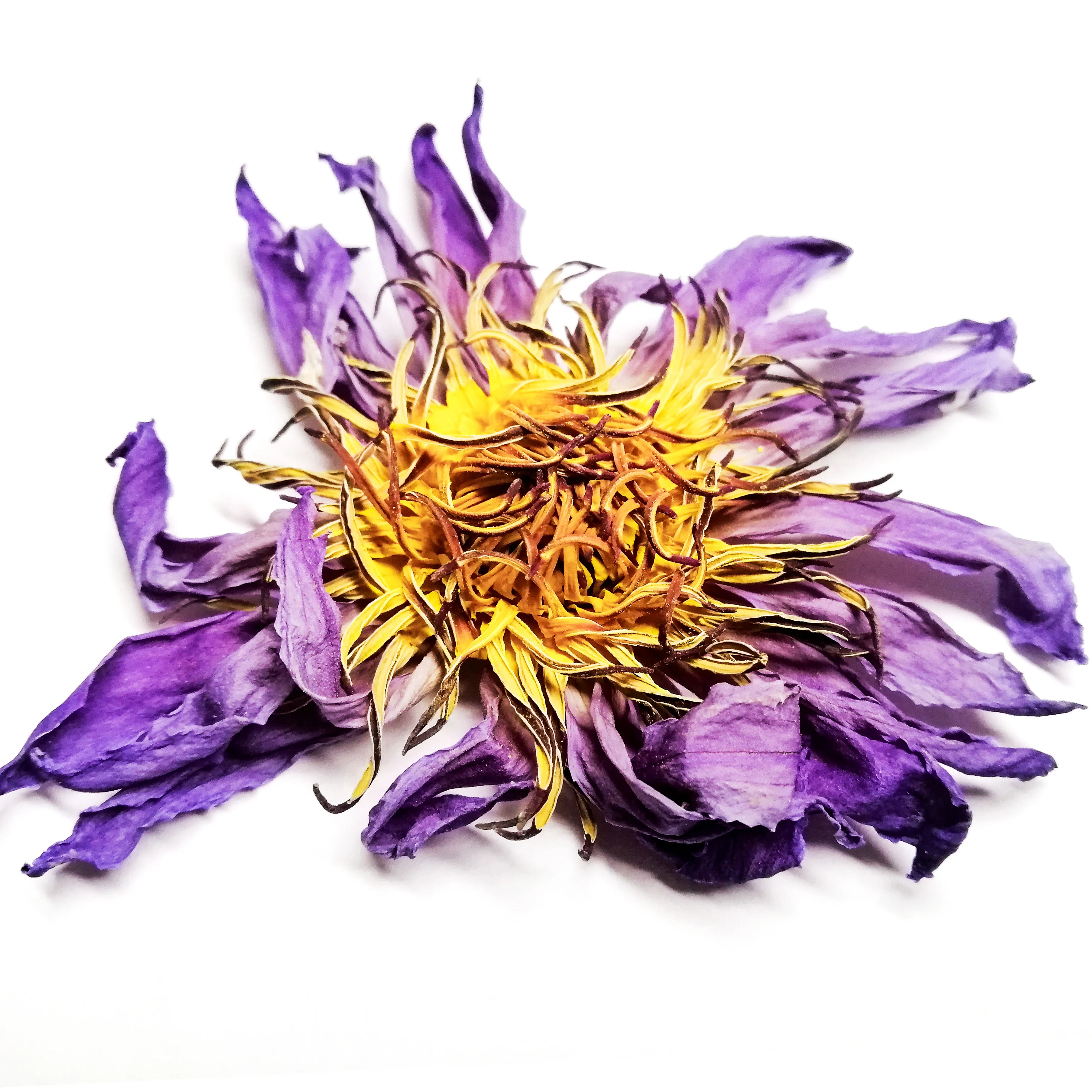 
Natural Base Planting Pesticide Free Chinese Herb Dried Blue Lotus Flower Lan Lianhua 