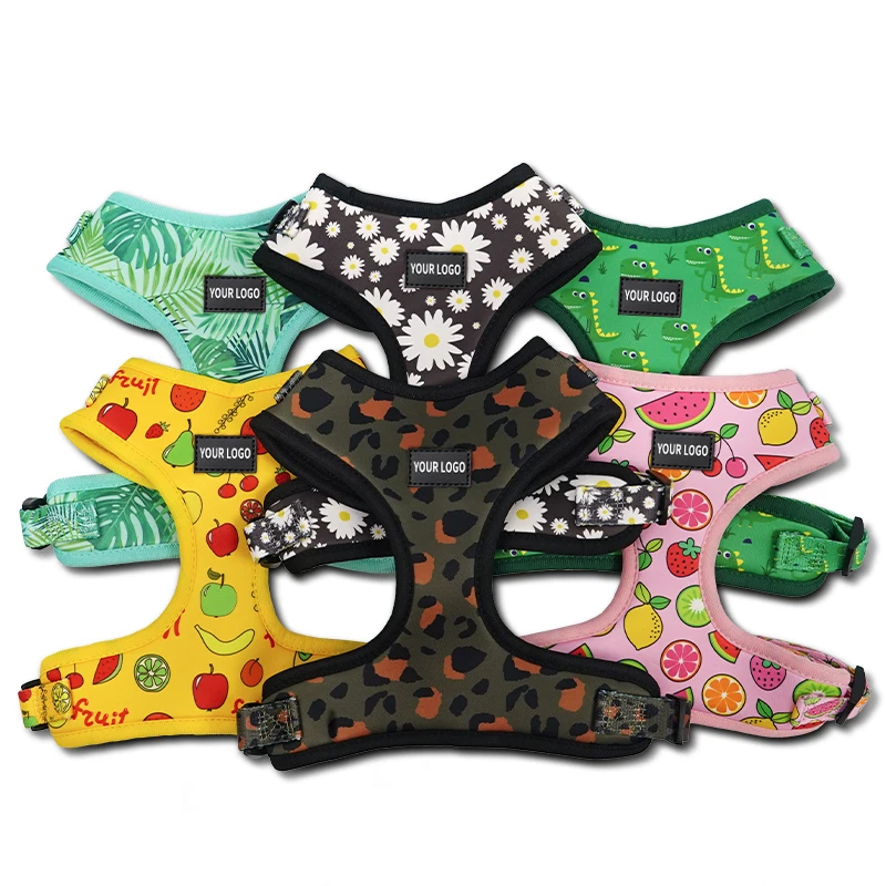Custom Personalized Logo Design Dog Harness and Leash Set Kit Luxury Neoprene Adjustable Pet Dog Leash and Harness Set