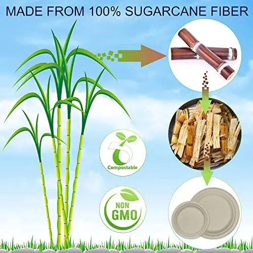 HENGLV 100% Compostable Eco-Friendly Disposable Dinner Plates Biodegradable Sugarcane Paper Plates