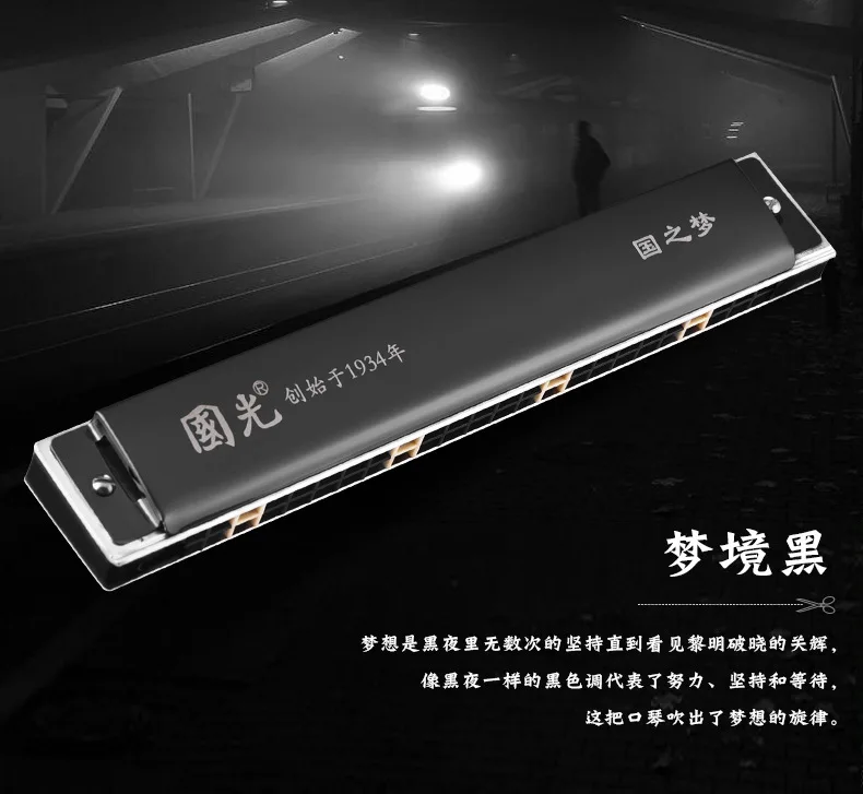 Student Child Adult Beginner Accent Professional Performance Grade Stainless Steel Covered 24 Hole Polyphonic C Key Harmonica