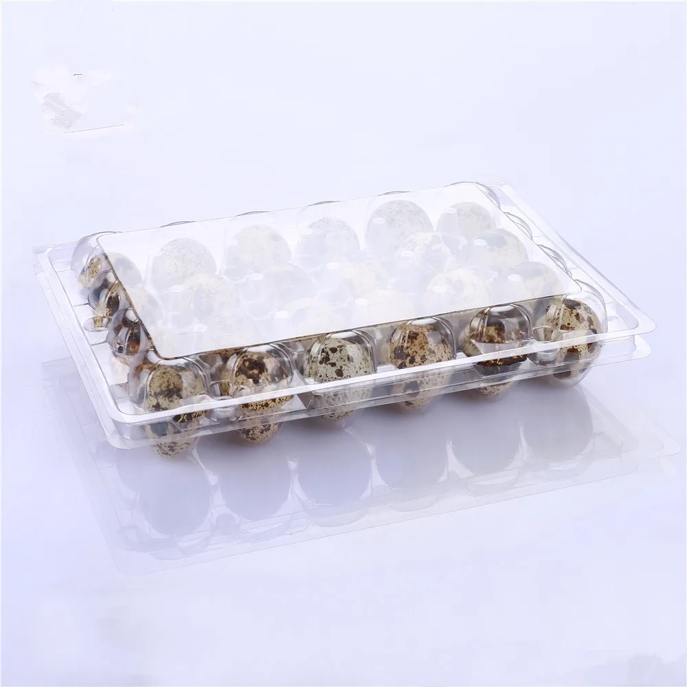 24 Holes Clamshell clear disposable plastic quail egg cartons