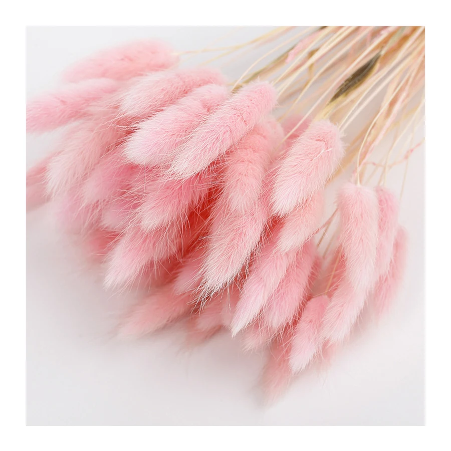 
Wholesale Hot Sell Preserved Flower Preserved Rabbit Tail Grass & Lagurus Ovatus For Wedding Decoration 
