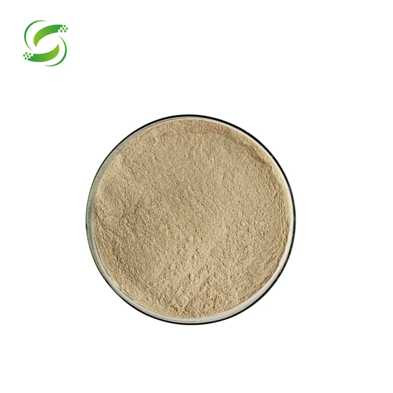 HIgh quality cold pressed hemp seed protein powder bulk price