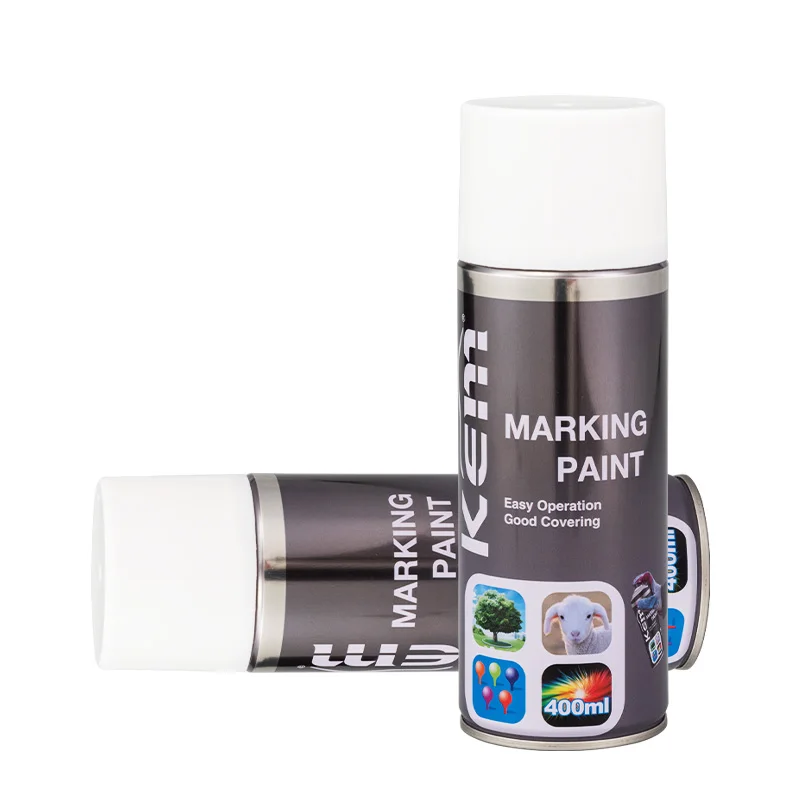 Quality Graffiti Spray Paint Drying Fast 450ml Sample Available Acrylic Aerosol Spray Paint Wholesale Spray Paint