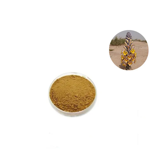 Cistanche Deserticola,Caulis Cistanchis Extract,Cistanche tubulosa Extract