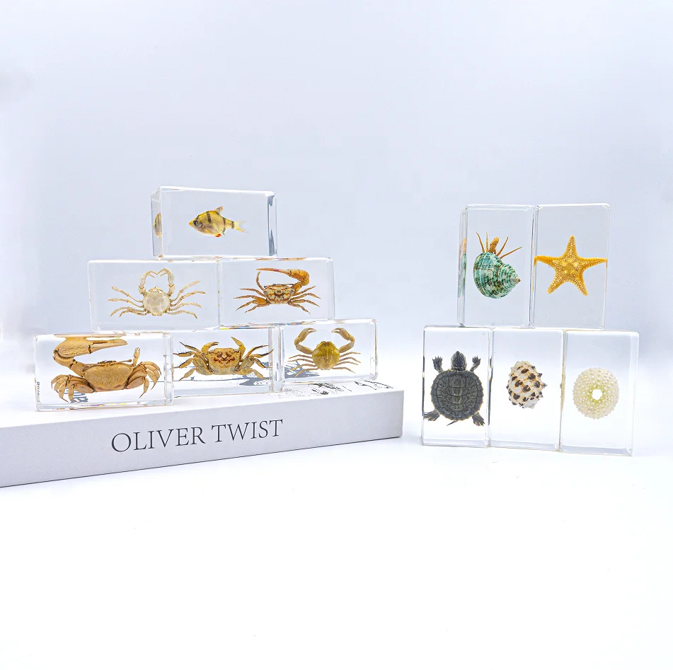 Образец энтомологии из натуральной смолы