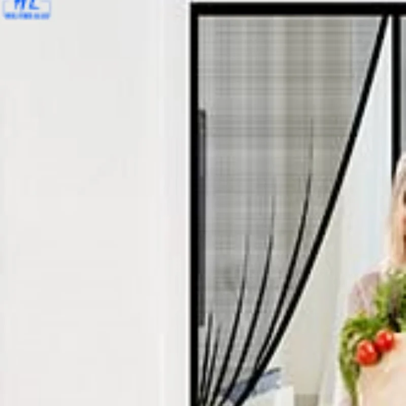 Chinese Supplier Mesh Magnetic Curtain with Multiple Colors and Patterns Available Mosquito-Proof Door Curtain