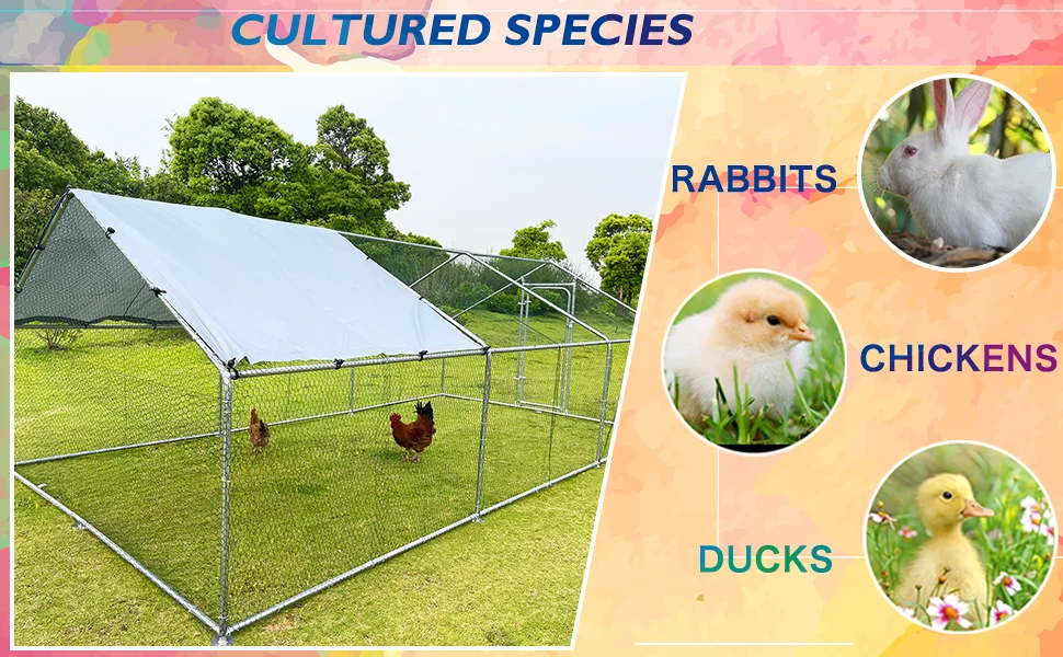 25 Galvanized Pipe 6 * 3 * 1.95 Large outdoor poultry raising dragon, metal  chicken cage
