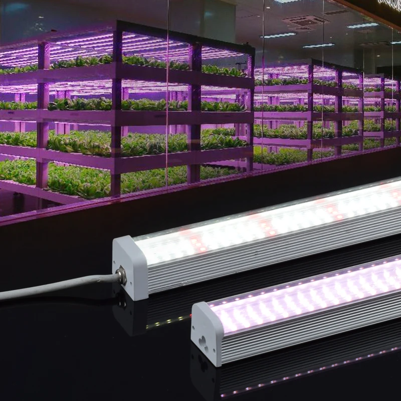 2ft 4ft Vertical Greenhouse Farming Fluorescent Led Grow Lamp Hydroponic Full Spectrum T5 T8 Tube Grow Lights For Indoor Plants