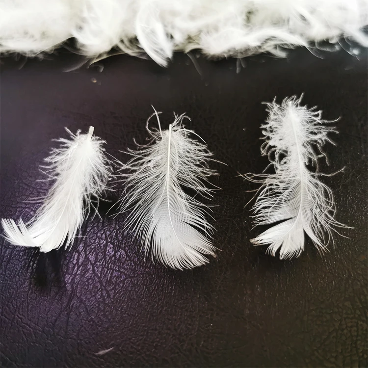 High quality washed duck feather duvet white brown &white duck feather buyer 2-4 cm duck feather white for furniture sofa