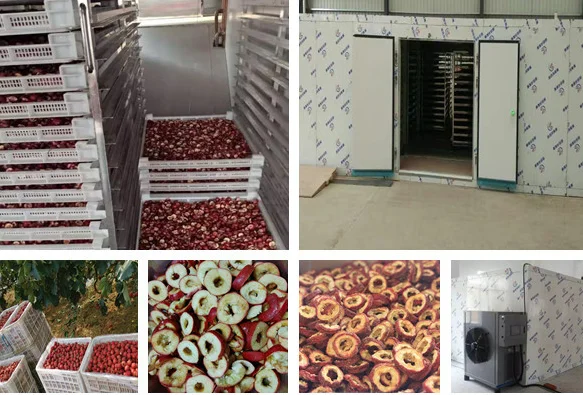 Industrial Cabinet dryer fruit Dryer leech Drying machine  heat pump dryer factory whole sale price industry commercial price