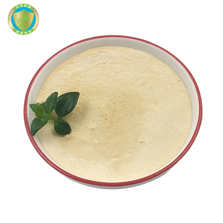 Wholesale Factory Price Best Probiotic Powder Lactobacillus Fermentum