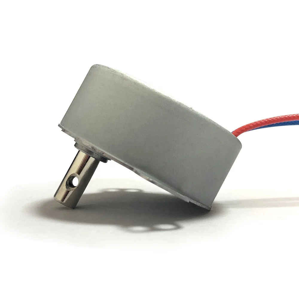 Sijiatech Ac Synchronous motor 220v High temperature resistant micro motor For Electric heaters