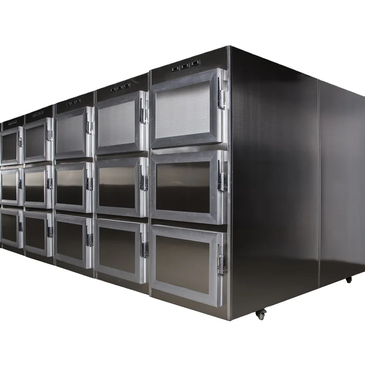 High Material Hot Sale RD-9 Nine doors mortuary freezer with standby SECOP Compressors Refrigerators 2, 4, 9 Bodies corpses free