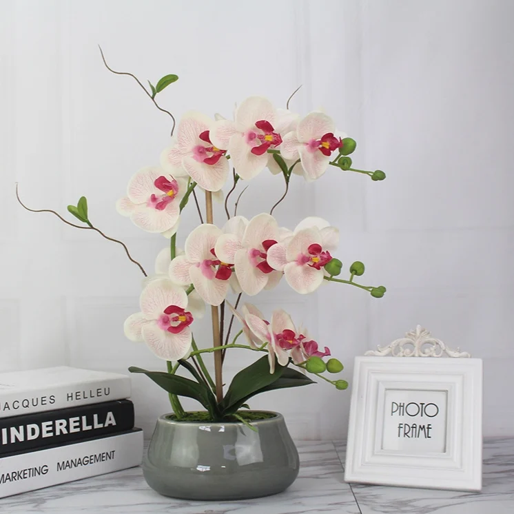 Decorative Flower Table Centerpieces Phalaenopsis  Latex Butterfly Orchid Bonsai Phalaenopsis Orchids Flasks