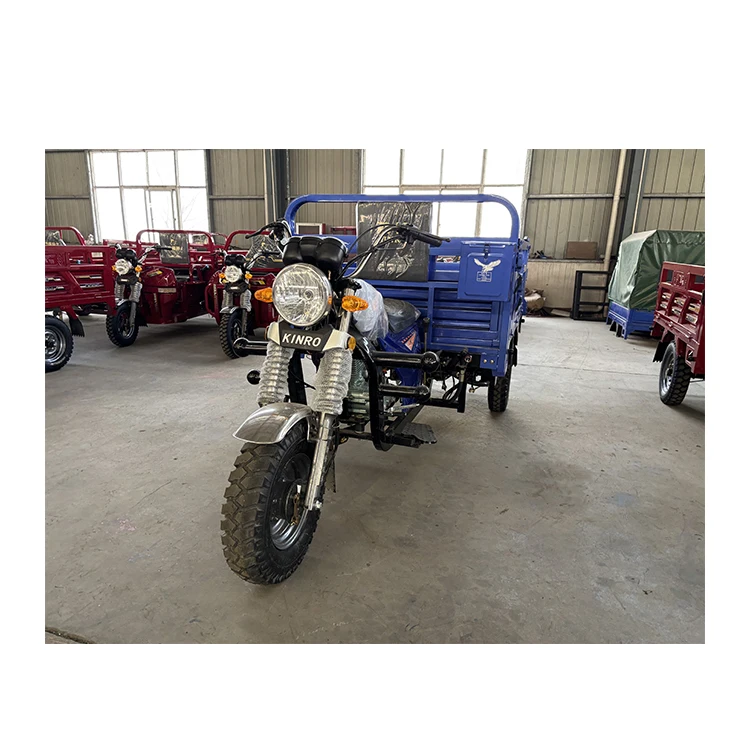 China Cheap Adult 150cc 175cc 3 Wheeled Gasoline Moto Cargo Load Tricycle Motorcycle for Delivery