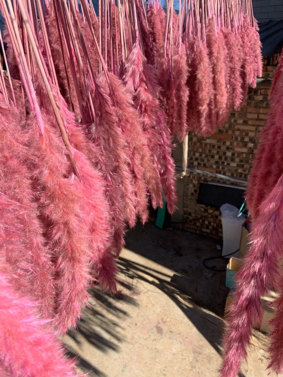 Amazon Popular products  70-90cm Artificial Red Small Pampas Grass
