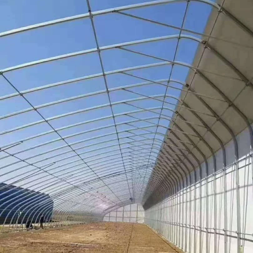 2024 год SUNSGH теплица китайский солнечный зеленый дом с задней стенкой для холодной погоды выращивания овощей Китай овощеводство