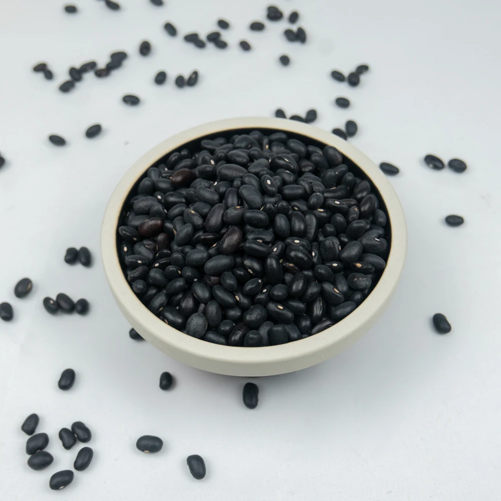 
new crop premium grade china black beans 