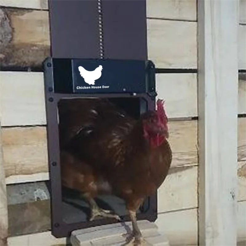 Multi-Modes Auto Chicken Coup Door Battery Powered Automatic Chicken Coop Door with Light Sensor and Timer Control Open Close