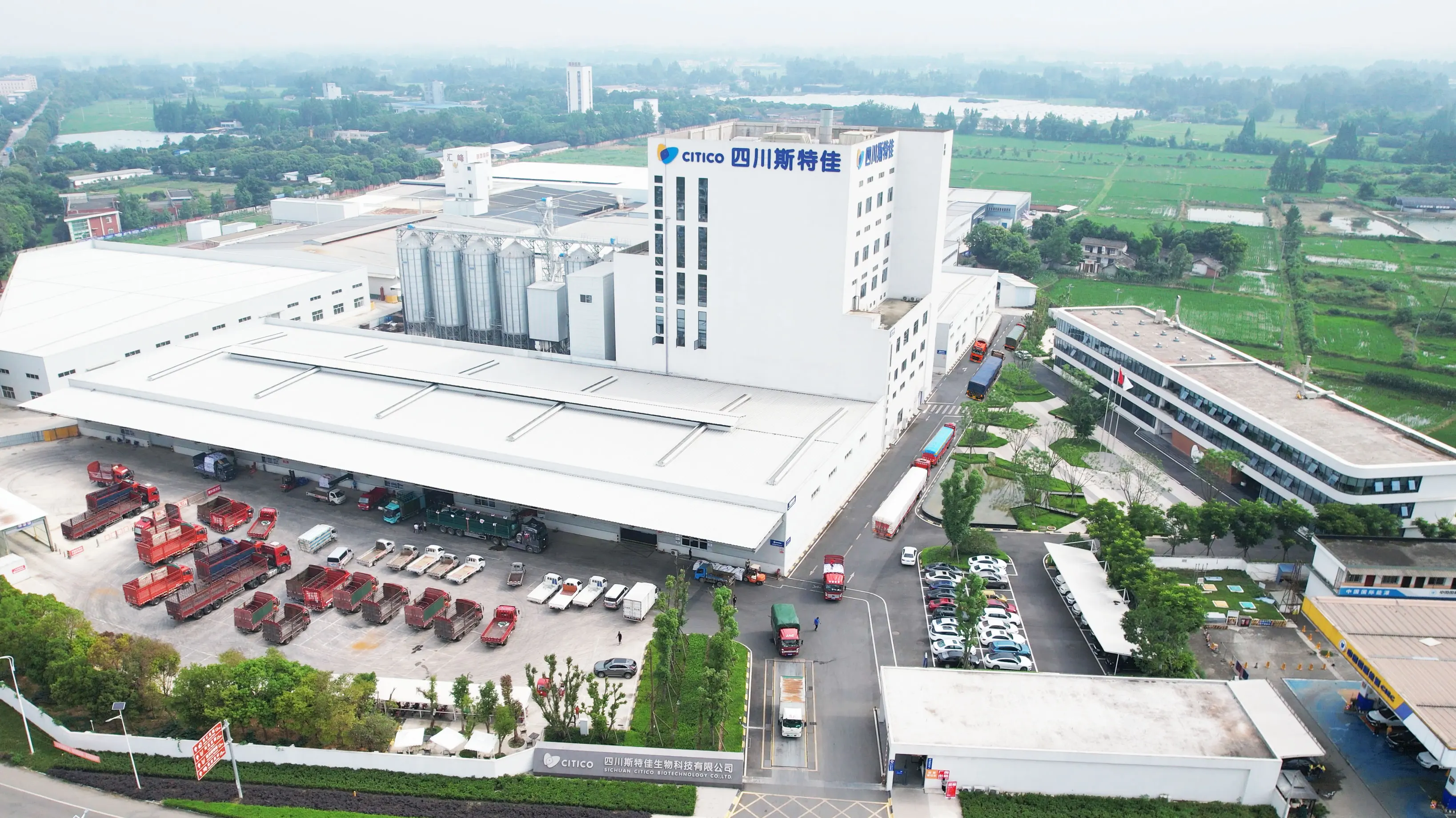 Factory wholesale Chongqing Sitejia Special feed for ornamental fish