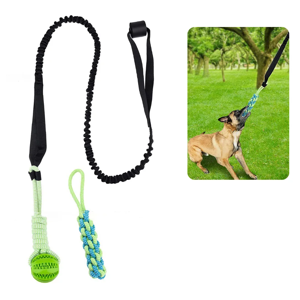 Interactive Retractable Tugger Dog Rope Toy Dog Hanging Bungee Tug Toy With 2 Chew Toys