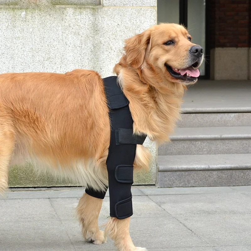 New design dog shoulder brace front leg canine elbow protector prevents injuries