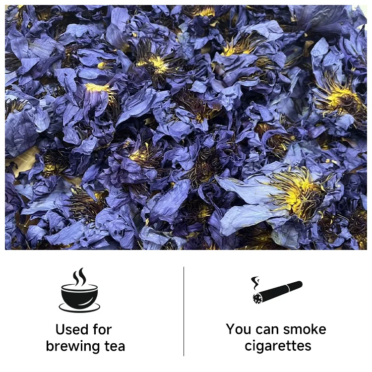 Chinese herbal medicine Lan lian hua Natural Herbal Egyptian relaxing dried  dried blue lotus flower tea blooming tea chinese