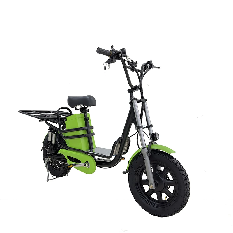 Electric Bike 16*3.0 Fat Tire Electric Delivery Bike Cargo Electric Fatbike 60V Lithium Battery 1000W  Electronic Rear Hub