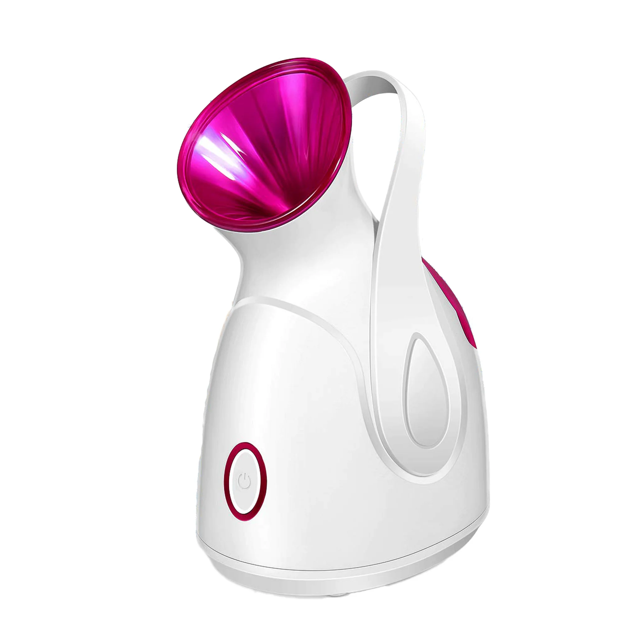 facial steamer professional