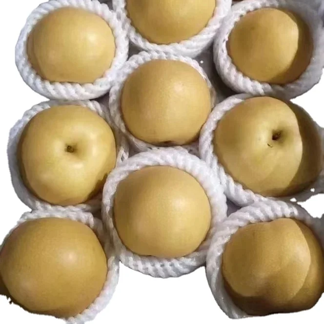 sweet Ya pear fresh Golden pear Chinese high quality Singo pear