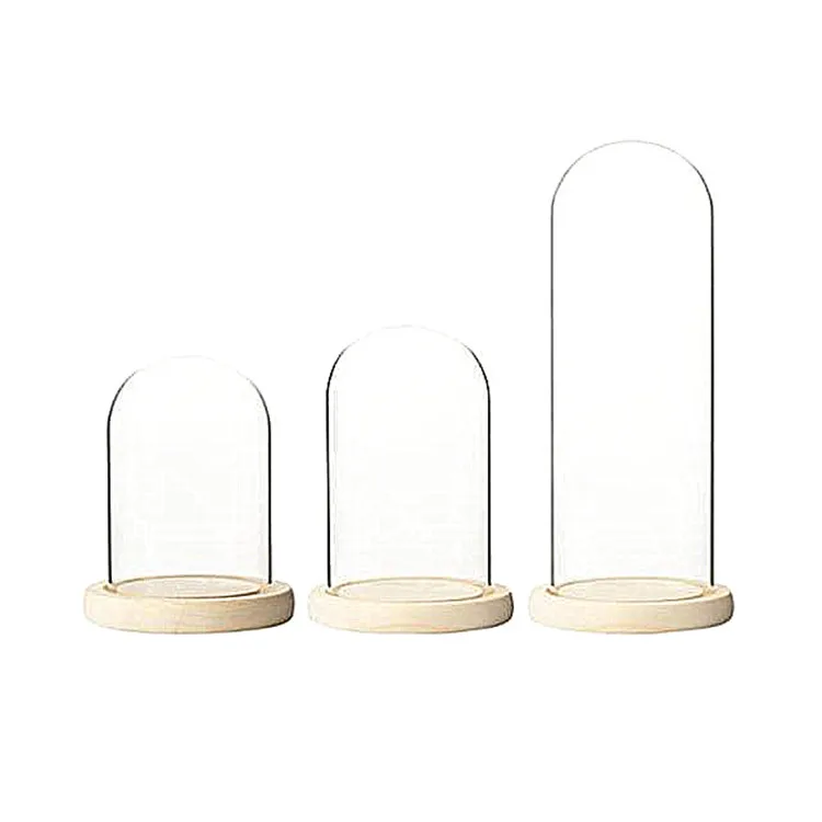 New Design Wood Microlandscape Glass Cover With Foot Wooden Glass Dome Wood Base