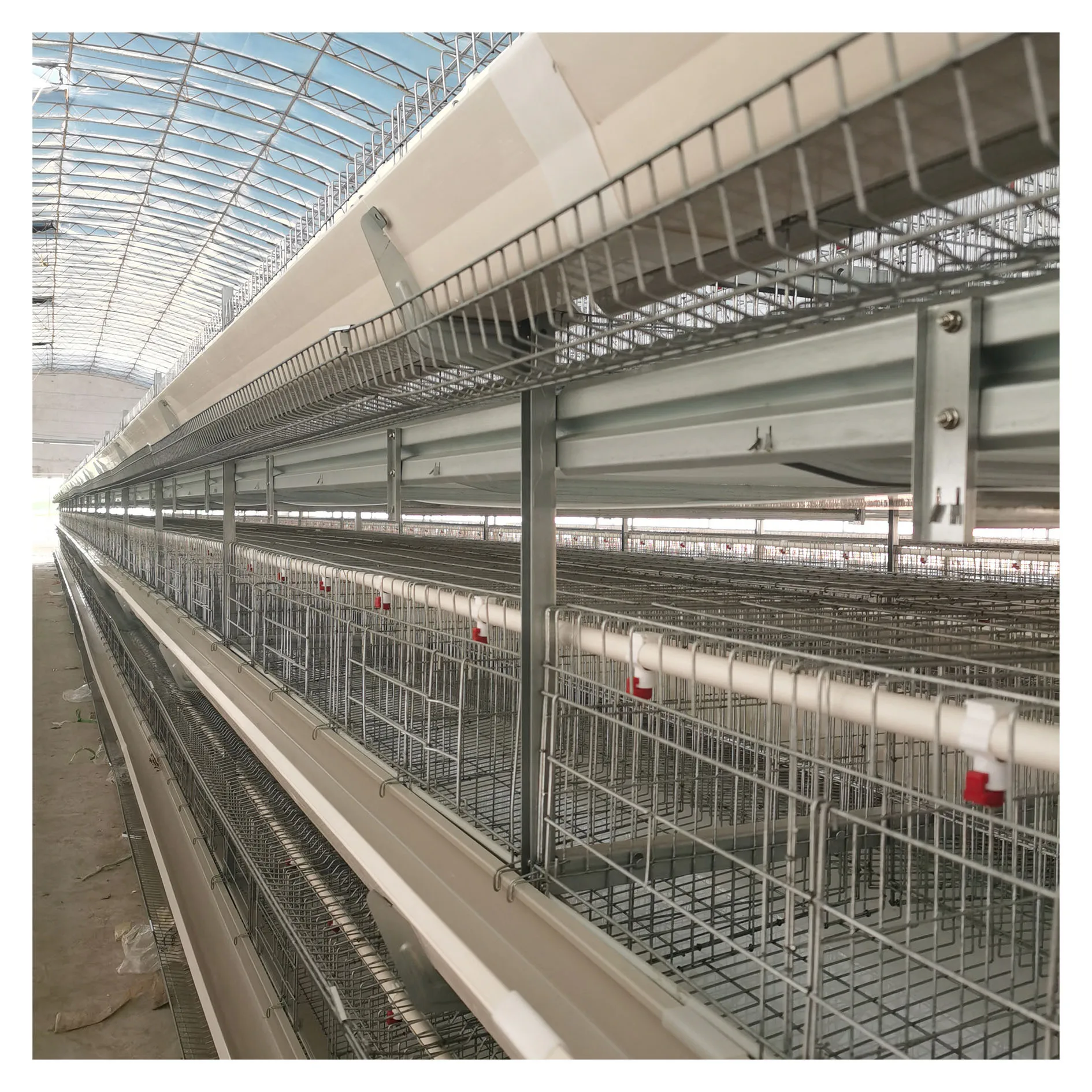 chicken cage  4 tier with drinker and conveyor belt