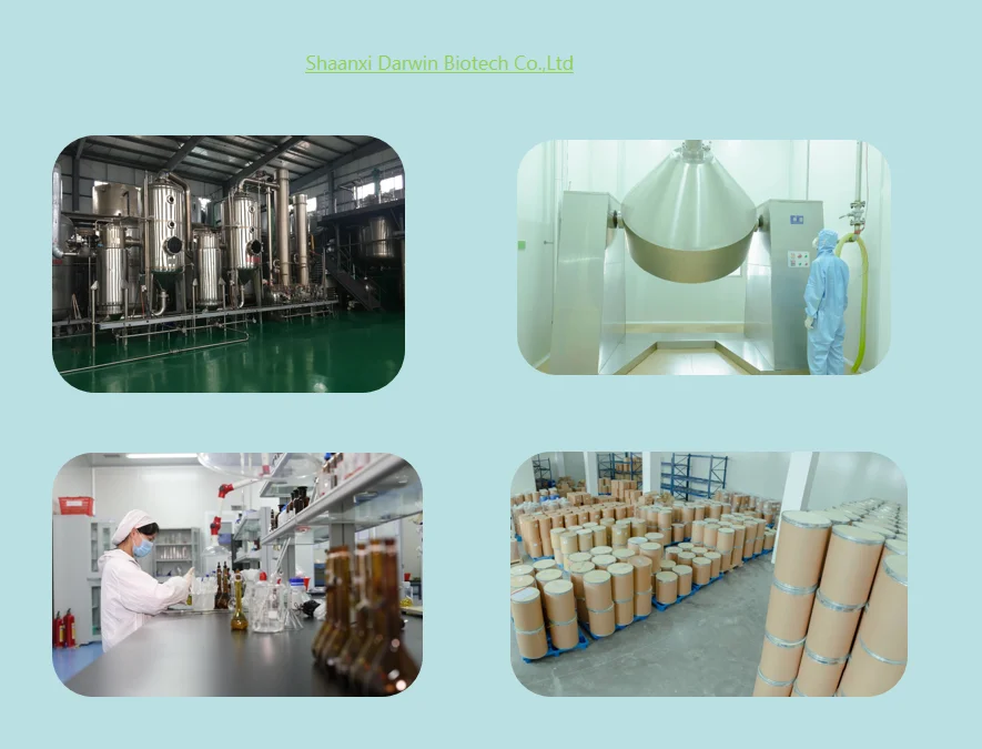 Factory Supply Best Quality Food Additive Sucralose Powder