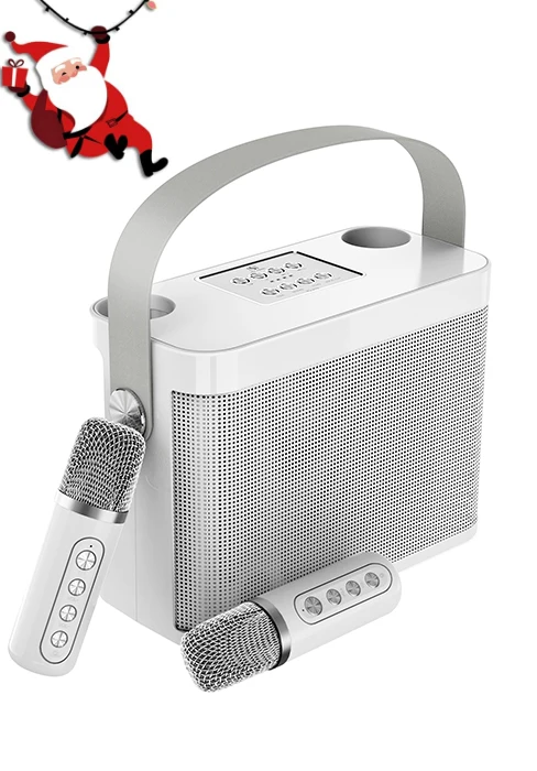 Portable Bluetooth Karaoke Speaker for TV, with 2 Wireless Microphones PA Speaker System for Indoor Outdoor Party, Family Party