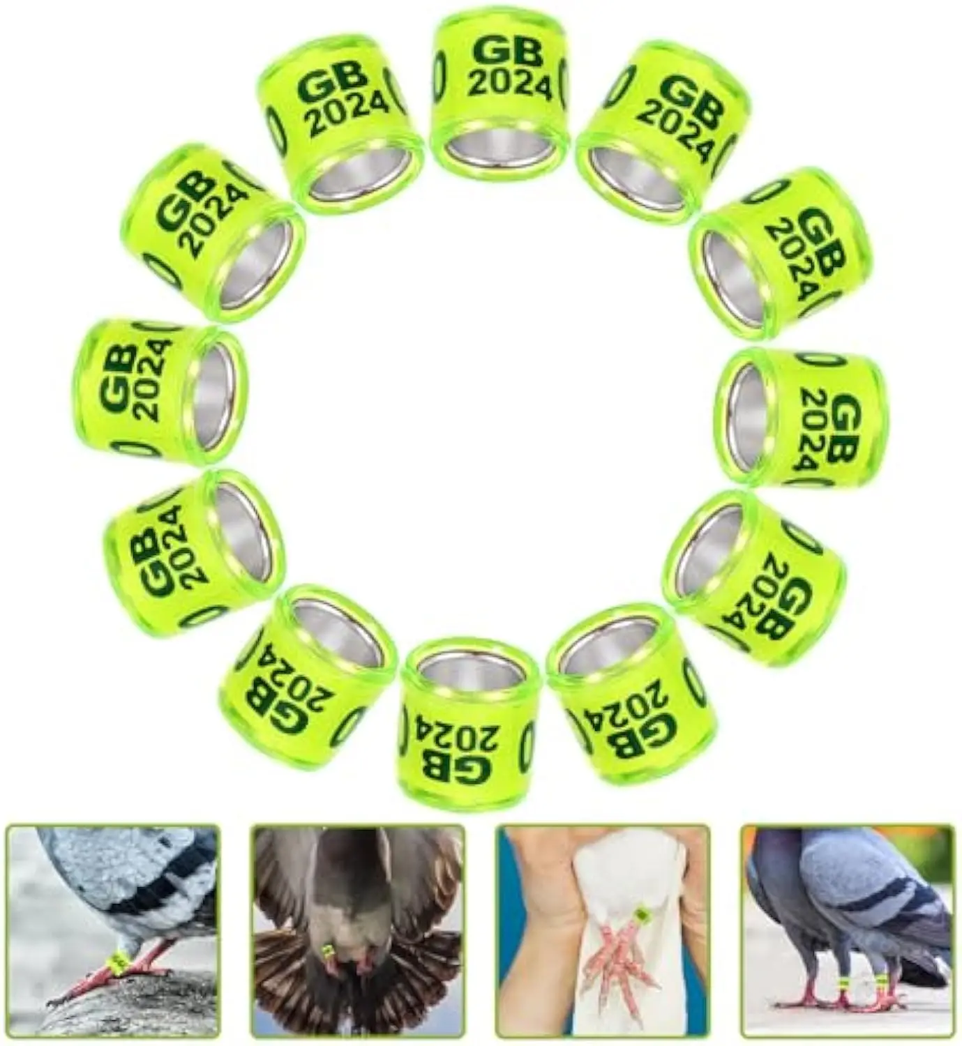 Multicolor Aluminium Pigeon Leg Rings Bands Identify Plastic With 2025 Training Birds Foot Ring