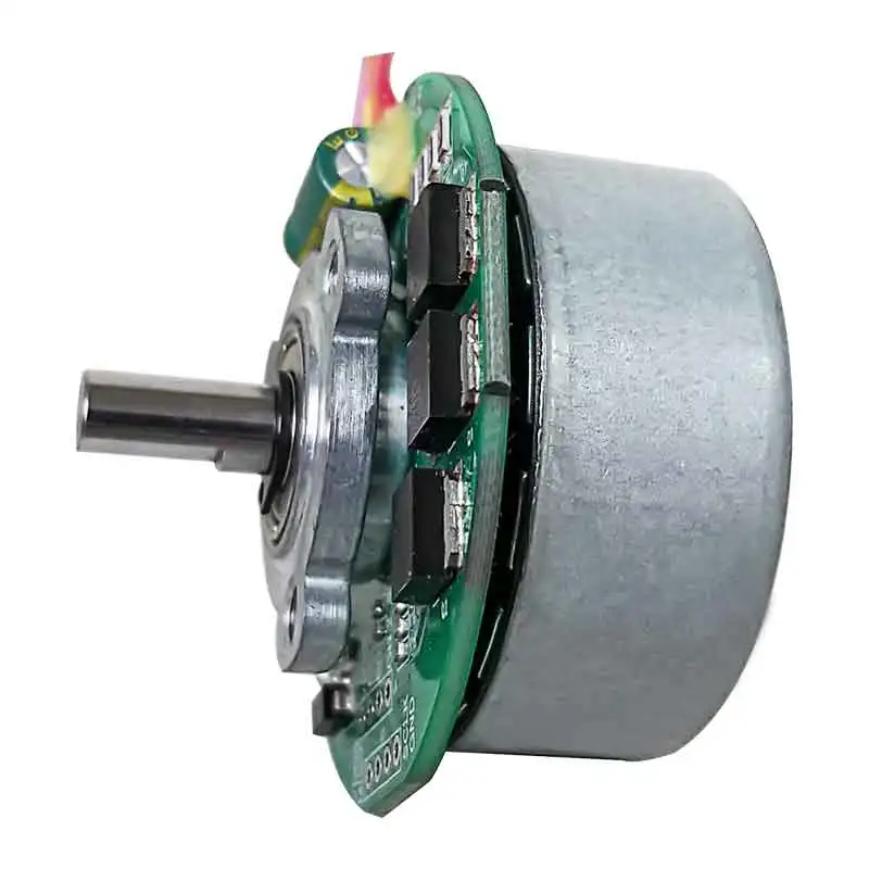 12V BLDC Fan Motor, 36V 6000rpm Brushless Heavy Duty & 80W Brushless DC Motor Customizable