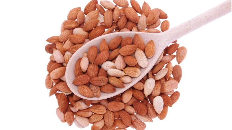 Сушеные ядра абрикоса по лучшей цене