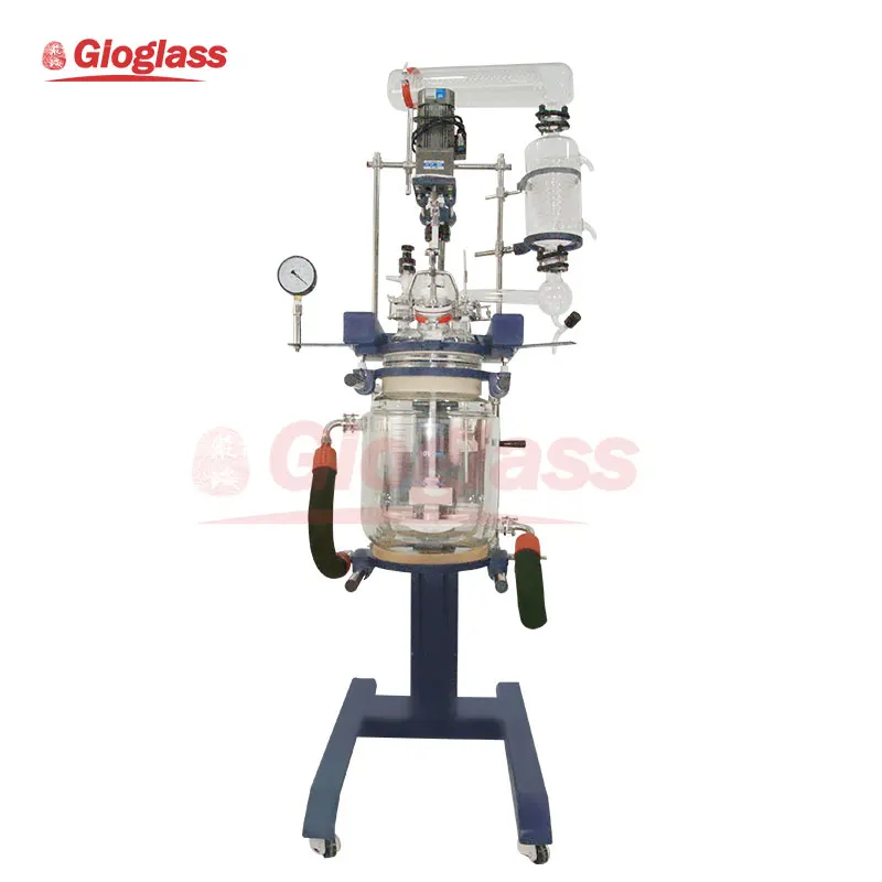 Pilot Plant 100L High Pressure 100 Liter with Filter Bottom Glass Reactor