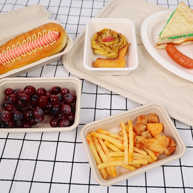 Disposable Tableware Biodegradable Sugarcane Bagasse Leakproof Takeaway Paper Lunch Box Container Catering Boxes with Lid