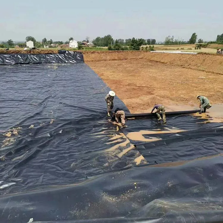 Isolation Geomembrane Ecological fish ponds artificial lakes&streams impervious Geomembranes