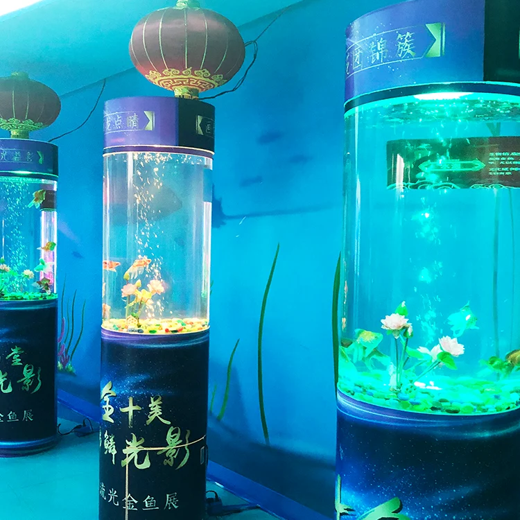 Medium-Sized Clear Cylinder Acrylic Aquarium Fish Tank Decoration fish