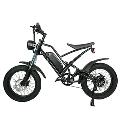 20 Inch Off Road Ebike Electric Hybrid Bike Electric Fat Tire Bike Bicycle 1000W Motor Power Electric Mountain Bike