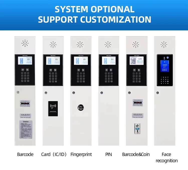 Smart PIN Face Recognition Locker Modern Metal Express Storage Cabinet for Supermarket Electronic Smart Locker