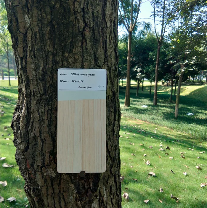 Eternal Color Customized Deep White Oak Wood Grain Heat Transfer Wood Powder Coating For Furniture Manufacturers