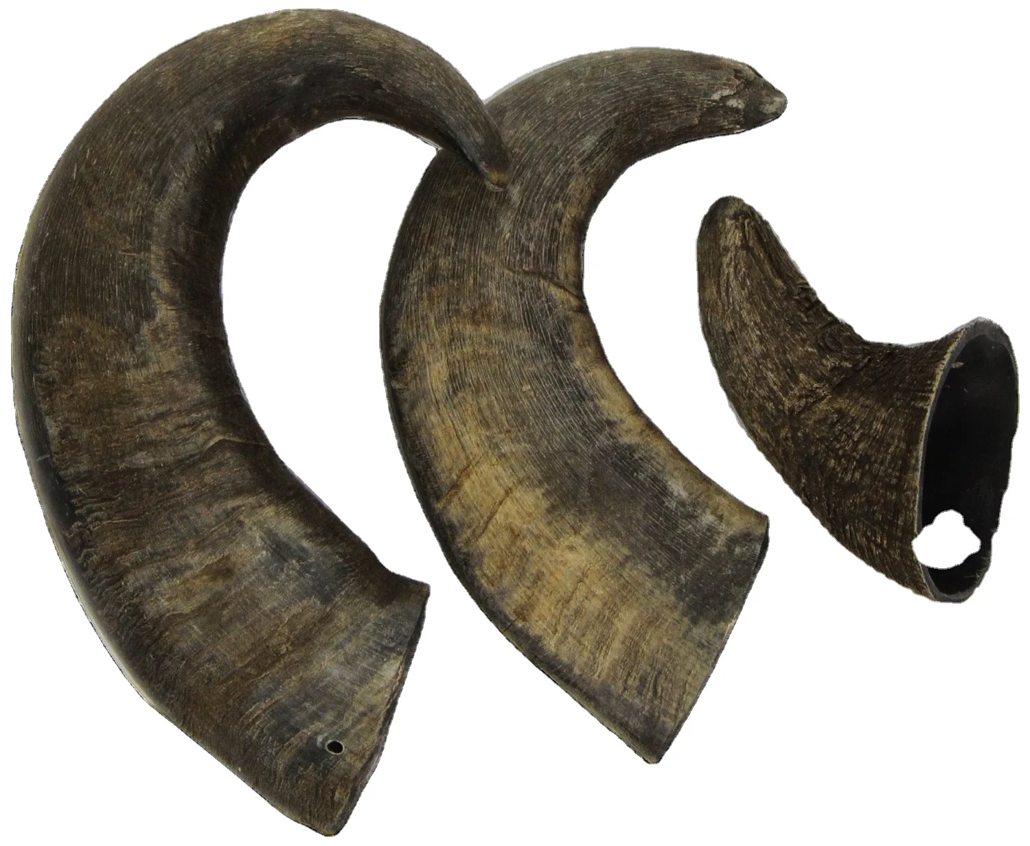 Horn Natural Handmade Bugle Blowing Horn Custom made natural buffalo  horn blowing