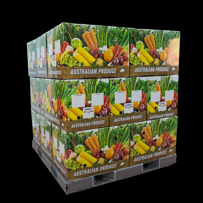 Vegetable Boxes 62L Customized Fruit /Vegetable Packaging Corrugated Plastic Box Corrugated Storage PP Packing Boxes