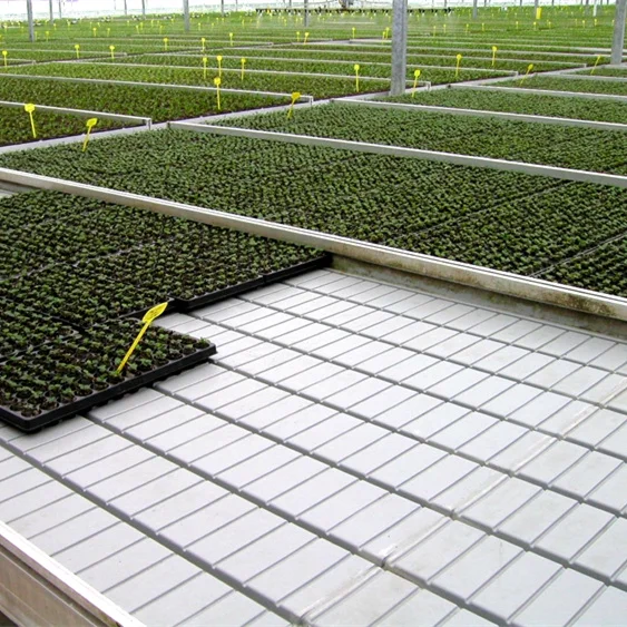 Food Grade ABS Panels Indoor Hydroponics System Ebb And Flow Table Rolling Bench