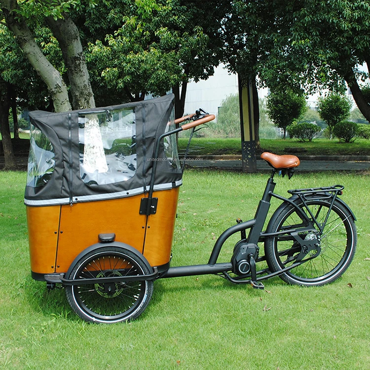 Family Use three wheel electric tricycle 250W 48V mid drive electric cargo bike e bakfiets for cargo delivery